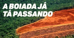 O desmatamento na Amazônia, a boiada e os retrocessos de Salles em meio à pandemia
