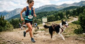 A história da missionária e sua cadela corredora de maratonas: elas correram 14 quilômetros juntas e já ganharam 30 medalhas