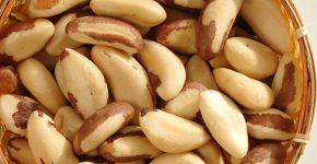 Consumo de castanha-do-pará pode melhorar função cognitiva