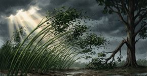O que significa a frase “O bambu que se curva é mais forte que o carvalho que resiste”?