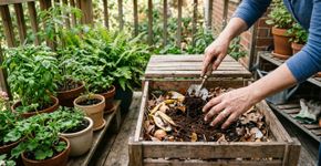 Especialistas em compostagem concordam: “A borra de café nem sempre deve ser jogada fora.”
