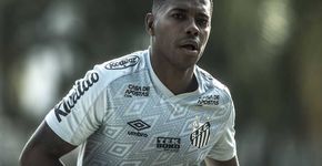 Foto: (Ivan Storti/Santos FC/Divulgação)