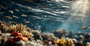 Um fenômeno perigoso começou nos oceanos: Cientistas estão soando o alarme