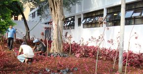 Projeto Praça Vermelha/Operação Tutóia