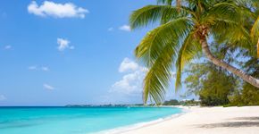 Foto: (Shunyu Fan/iStock)