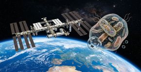Organismos mutantes vindos do espaço poderiam resolver a crise global dos antibióticos