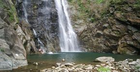 Foto: (Divulgação)