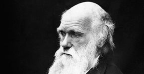 Museu disponibiliza online 16 mil documentos de Charles Darwin