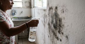 Nada de água sanitária ou detergente: a melhor maneira de eliminar o mofo de paredes e tetos