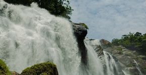 Foto: (Divulgação/PMB)
