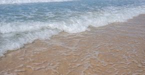 Areia da praia tem cem vezes mais coliformes fecais que a água