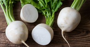 Foto: (iStock/ xtrekx)