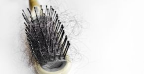 Foto: (imagedepotpro/istock)