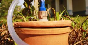 Potes de argila são alternativa de irrigação de baixo custo