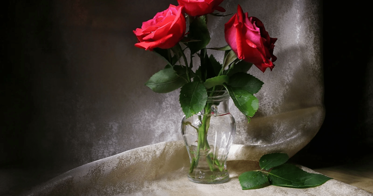 Símbolos ciganos que trazem amor e prosperidade: conheça seus ...