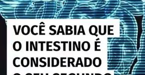 Sabia que o intestino é considerado o seu ‘segundo cérebro’?