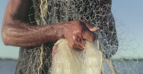 Projeto conecta pescador a consumidor e mostra procedência do peixe no smartphone