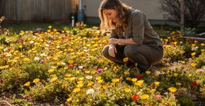 Quase não precisa de terra nem de rega: a planta que vira a protagonista da primavera