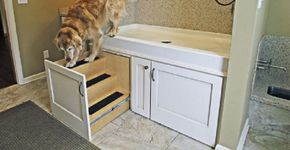 Cantinho em casa para o banho dos cães