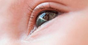 Fotógrafo registra o mundo a partir do olhar da filha bebê