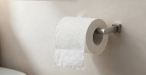 “Basta virar o rolo e haverá muito menos poeira”: a direção verdadeiramente “correta” do papel higiênico, de acordo com um desenho de patente de 130 anos