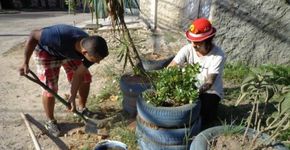 Catumbi recebe Mutirão Planta na Rua