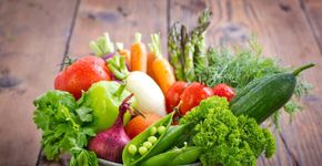 Saúde à mesa: aplicativo gratuito ensina a cultivar horta em casa