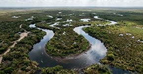 A Índia quer soltar cobras e crocodilos para controlar a difícil fronteira com Bangladesh.