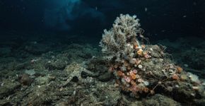 Foto: (Imagem gerada por IA)