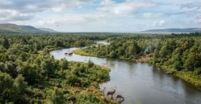 DNA antigo do Mar do Norte revela uma floresta perdida sob as ondas, e sugere que há 16.000 anos a Europa e a Grã-Bretanha ainda integravam um mundo desaparecido