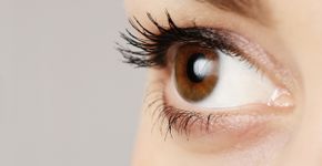 Foto: (triocean/istock)