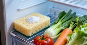 A dica da esponja dentro da geladeira para evitar mofo em alimentos