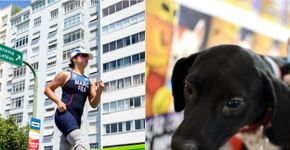 Site disponibiliza de graça fotos jornalísticas de eventos atuais