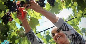 Marina Silva faz palestra sobre a produção do carbono