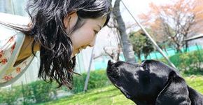 Pesquisa aponta que cães buscam contato visual dos donos para conquistá-los