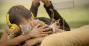 Terapia contra estresse põe paciente dentro de caixa com gatos