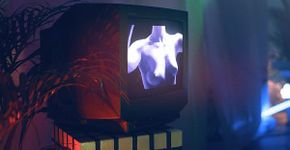 GIF’s por Julien Douver