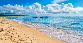 Foto: (Istock/ribeirorocha)
