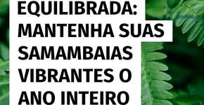 Rega ideal: saiba como manter suas samambaias saudáveis o ano todo