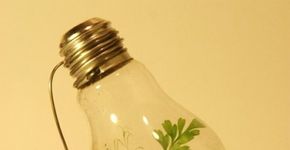 Em SP, material reciclável pode ser trocado por desconto na conta de luz