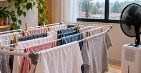 Por que roupas secas dentro de casa podem ficar com cheiro de tecido úmido?