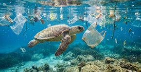 Mediterrâneo enfrenta seu maior desafio ambiental: 730 toneladas de plástico por dia, aquecimento acelerado e biodiversidade em queda