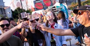 Festival Wine & Jazz Sessions reúne vinhos, alta gastronomia e show Candlelight no Parque Villa-Lobos