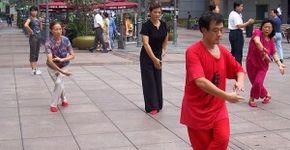 Tai Chi Chuan no Parque Jardim da Luz