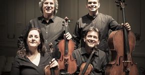 Quarteto de cordas da cidade de São Paulo