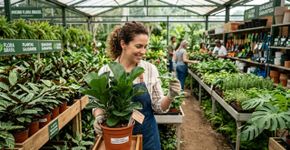 Ao comprar plantas em um viveiro, certifique-se de que o exemplar escolhido não tenha galhos soltos ou quebrados. Ele deve ter uma aparência harmoniosa