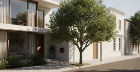 A árvore ideal para calçadas estreitas que suporta altas temperaturas e não levanta o piso