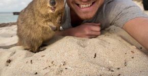 Fotógrafo ensina como tirar selfies certeiras com animais