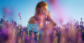 Foto: (janiecbros/istock)