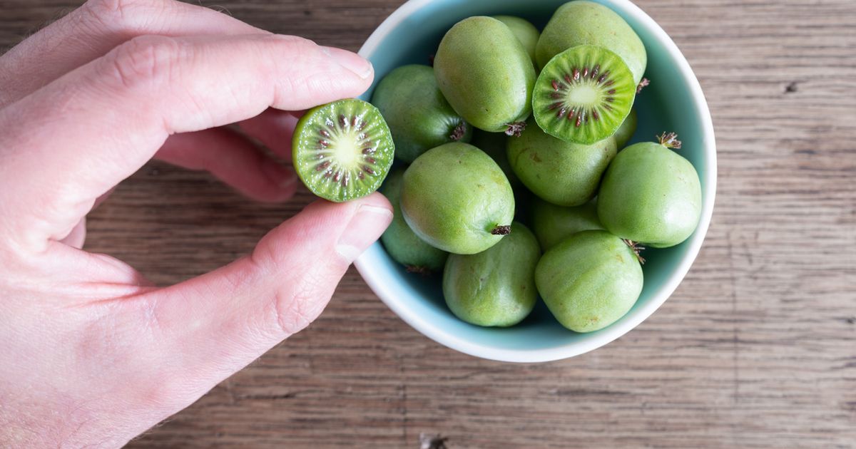 Suco de kiwi anão é capaz de inibir um tipo de câncer, diz estudo